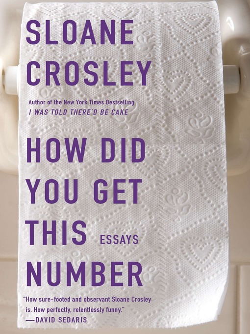 Title details for How Did You Get This Number by Sloane Crosley - Available
